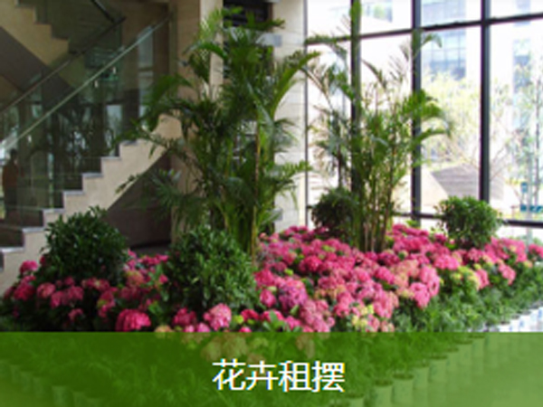 綠化保養(yǎng)